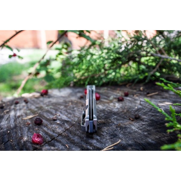 Складаний ніж Ruike P108-SF 