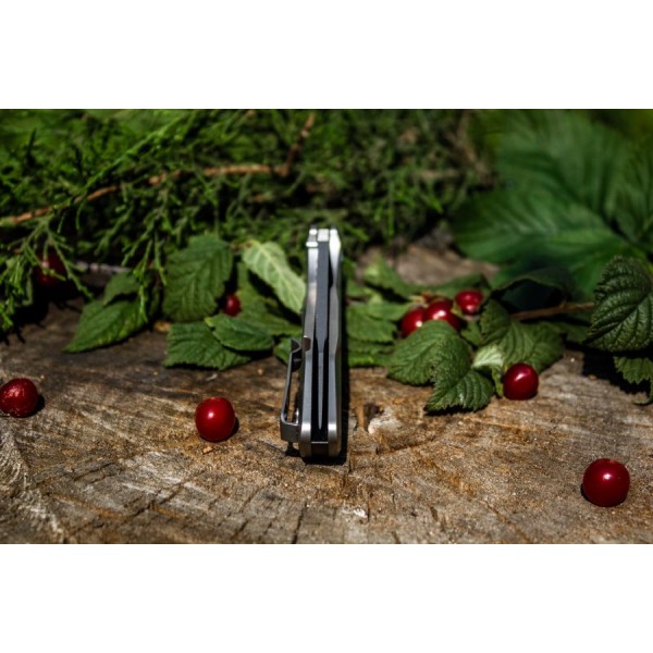 Складной нож Ruike P135-SF