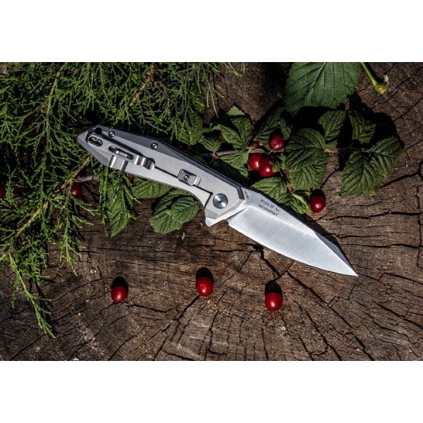 Складаний ніж Ruike P135-SF