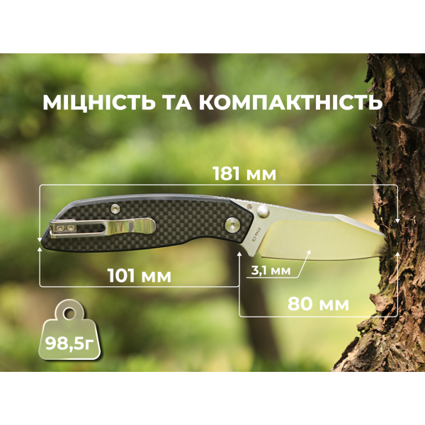Ніж складаний туристичний Ruike P746-CB, (8 см) 14C28N / G10 чорний