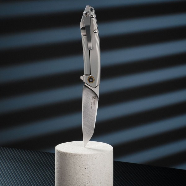 Нож складной Ruike P831S-SA