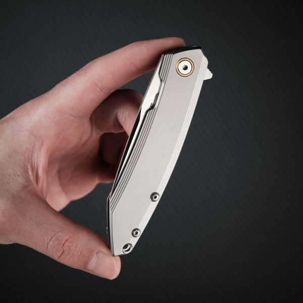 Нож складной Ruike P831S-SA