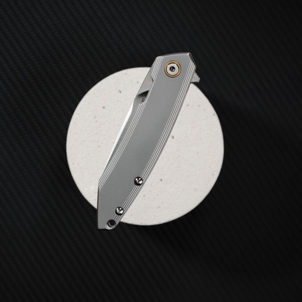 Нож складной Ruike P831S-SA